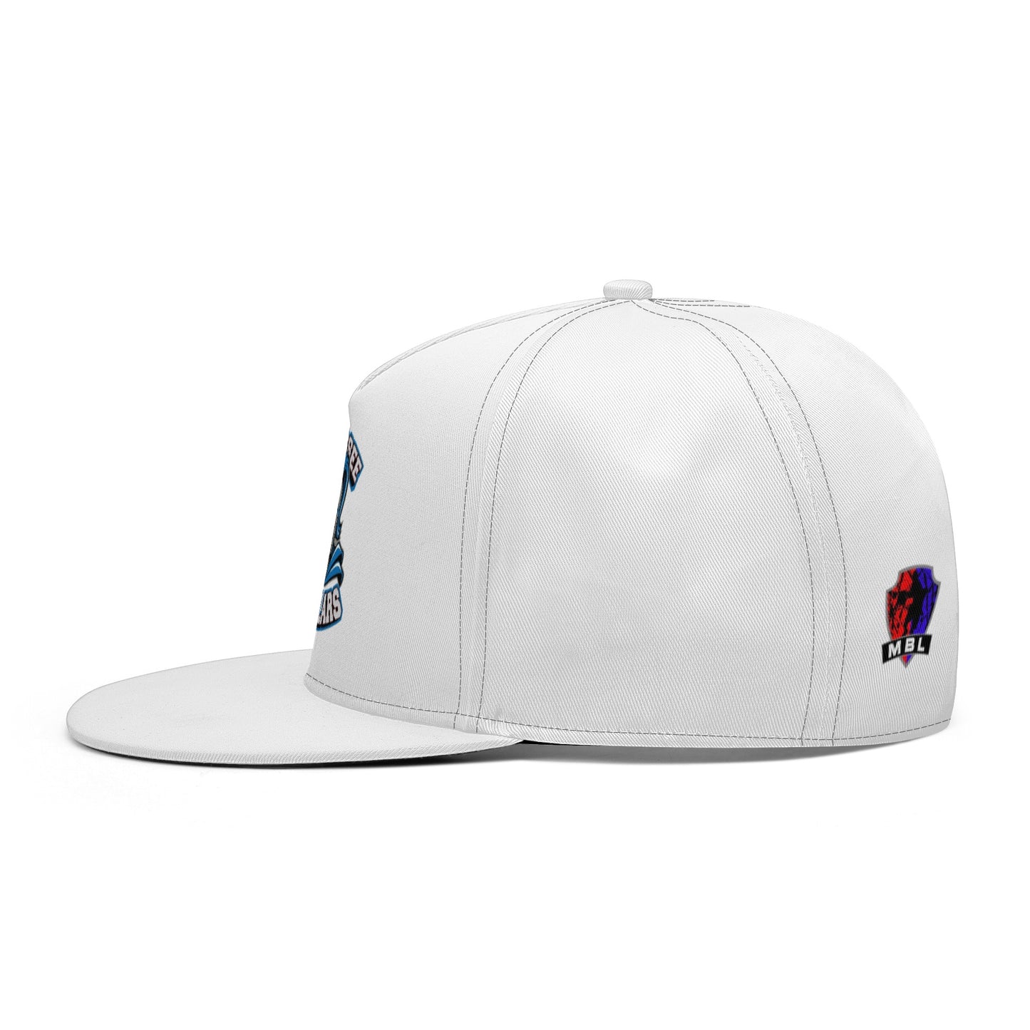 Tennessee Templars Classic Snapbacks